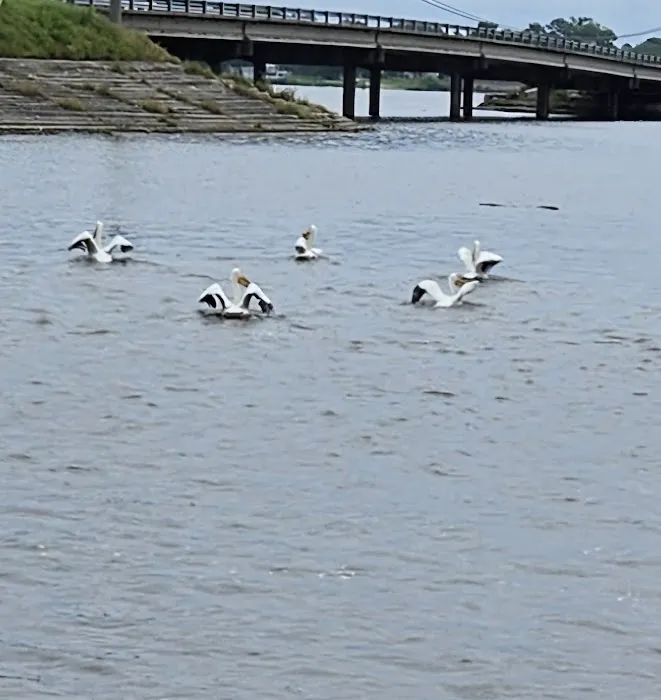Shoreline RV Park 8