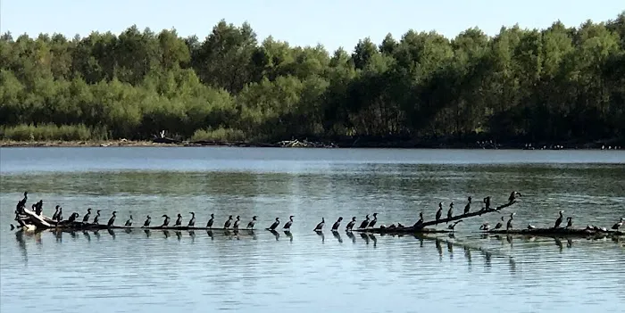 Outback Campground & Marina 5
