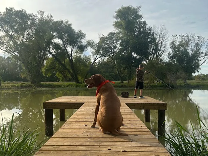 River Rat Resort 5