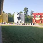 The Wild at Carolina Creek