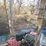 Live Oak Creek RV Park