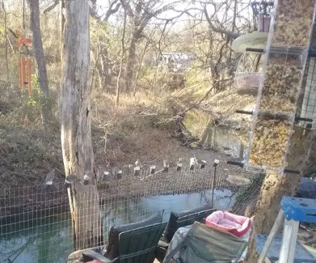 Live Oak Creek RV Park