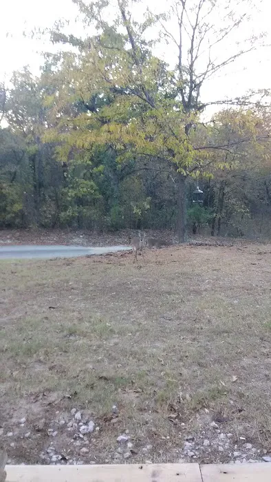 Shady Hill RV Park 10