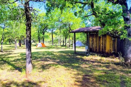 Bull Elk Campsite