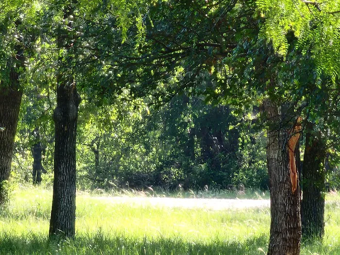 Sitting Bull Campsite 6