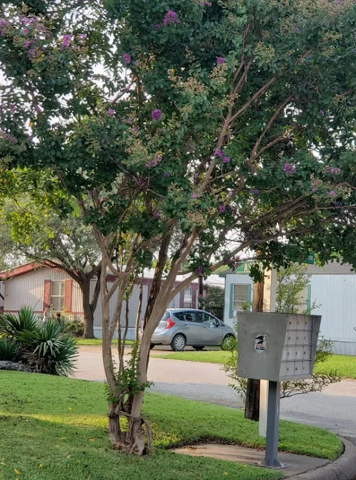 Ennis Mobile Home Park 6