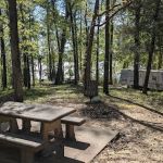 Cotile Recreation Area