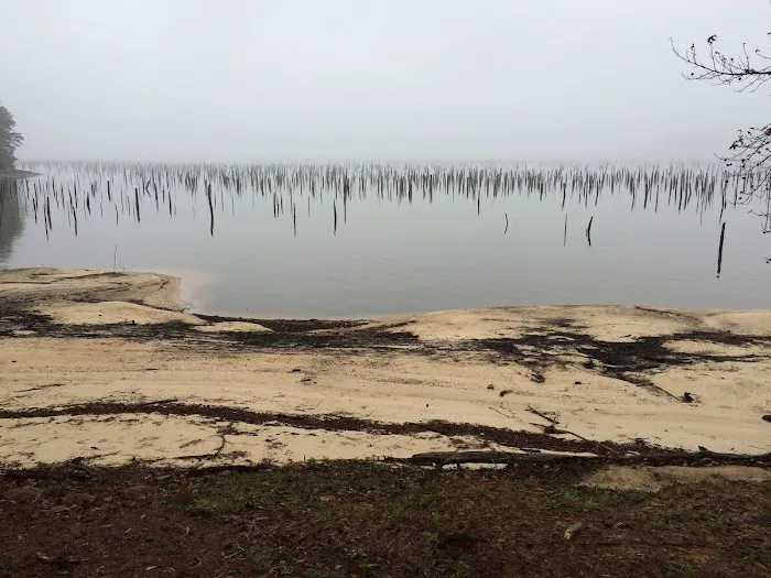 Cotile Recreation Area 8