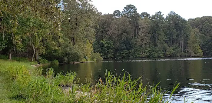 Cotile Recreation Area 7
