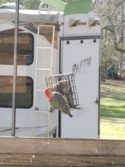 Hidden Treasure RV Resort, LLC 10