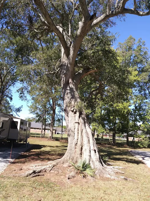 Alexandria RV Park 7