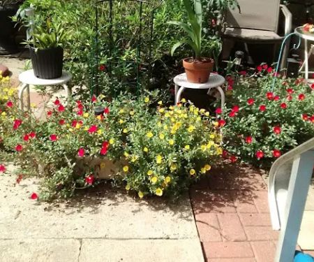 Barron Mobile Home Parks