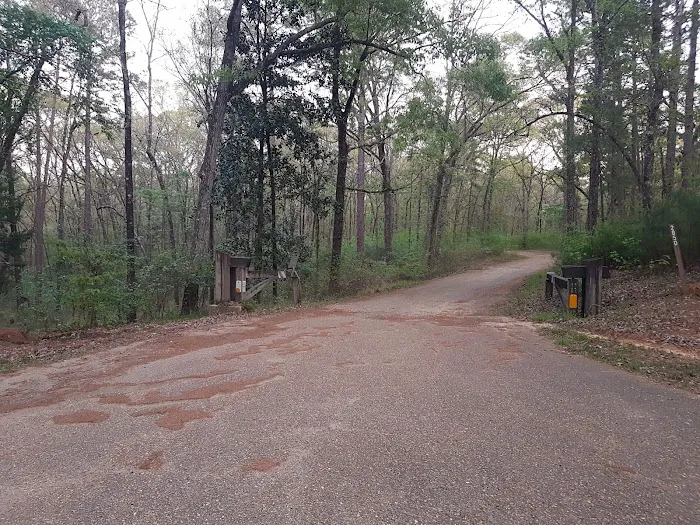 Kincaid Primitive Campground 2