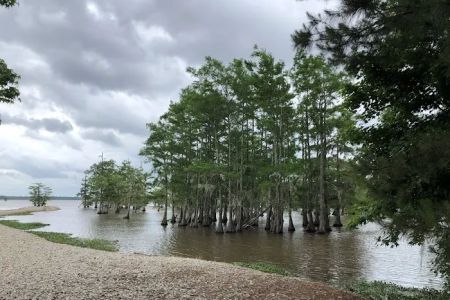 Magnolia Ridge
