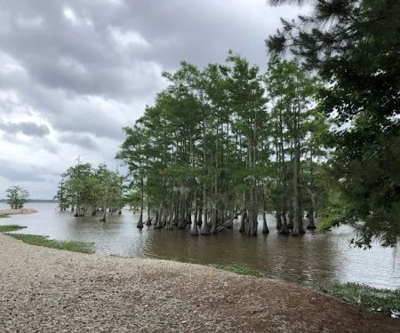 Magnolia Ridge