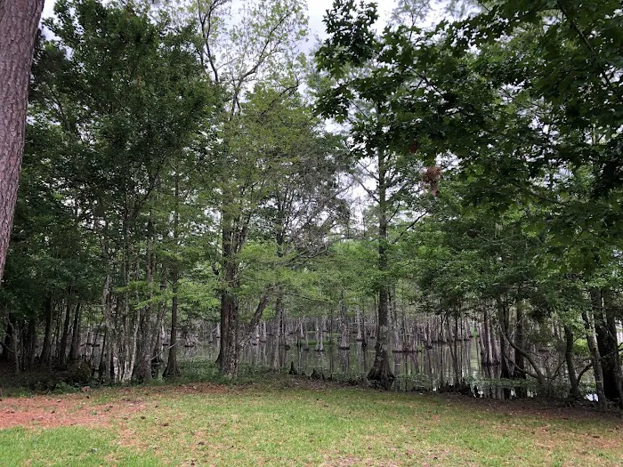 Magnolia Ridge 7