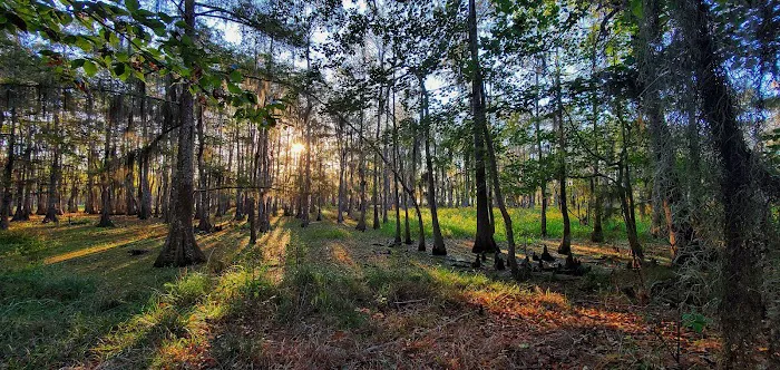 Magnolia Ridge 4