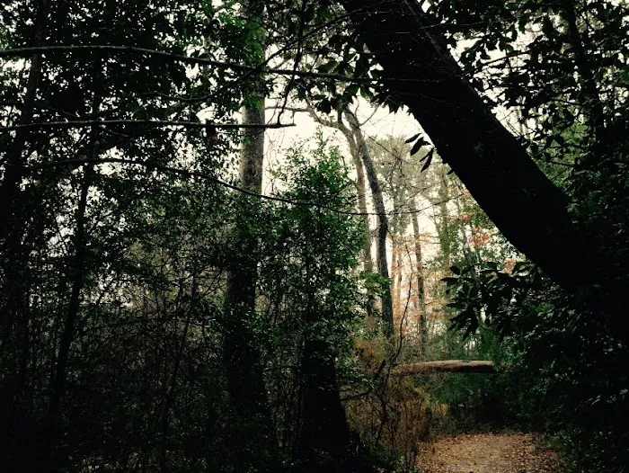 Magnolia Ridge 8