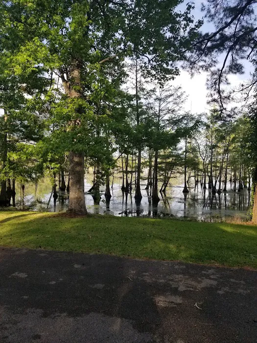 Magnolia Ridge 10