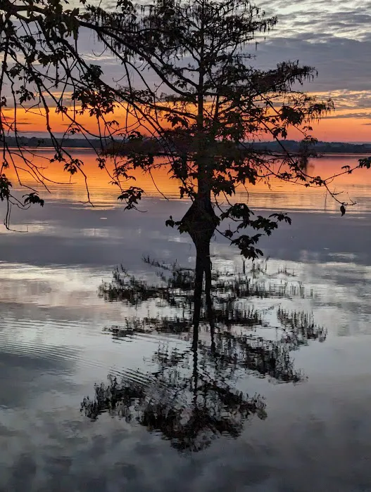 Martin Dies, Jr. Campground 3