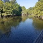 Martin Dies, Jr. Campground