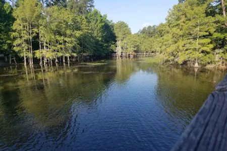 Martin Dies, Jr. Campground