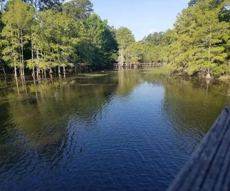 Martin Dies, Jr. Campground