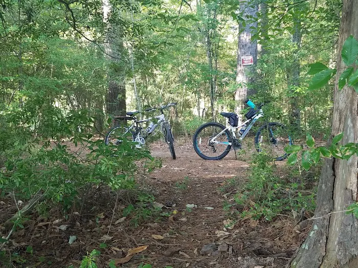 Martin Dies, Jr. Campground 6