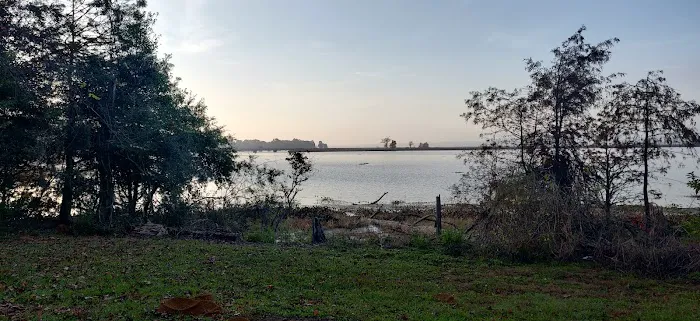Martin Dies, Jr. Campground 7
