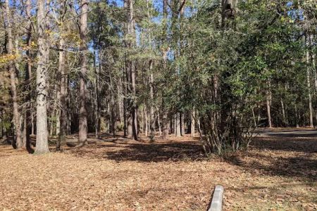 Walnut Ridge Campground
