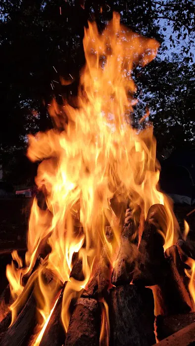 Walnut Ridge Campground 8