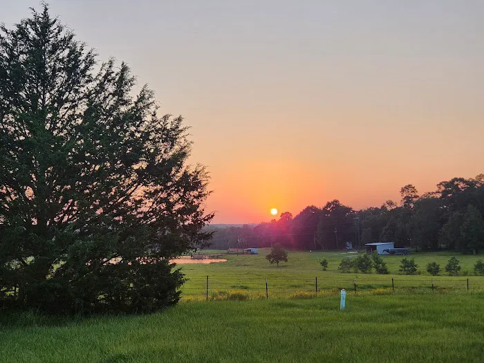 Sunset RV Park & Cabins 3