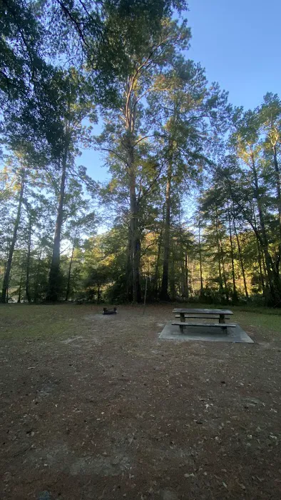 Campsite #313 1