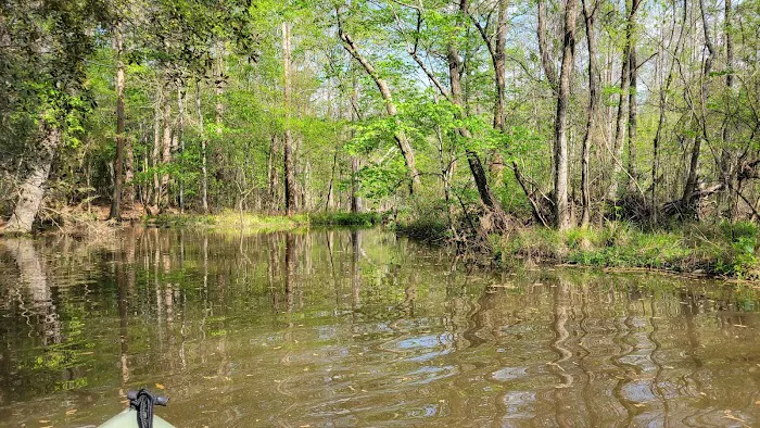 Sandy Creek 6