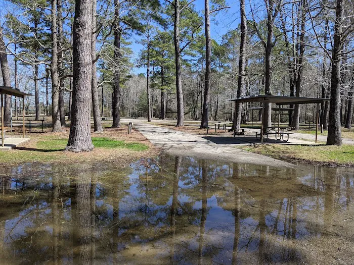Sandy Creek 3