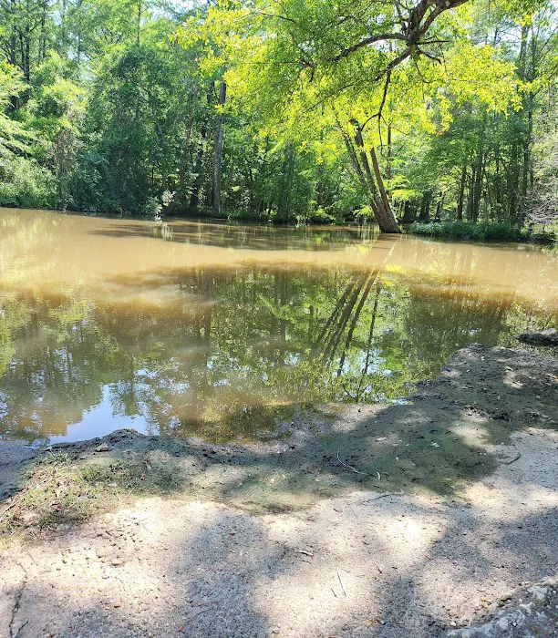 Sandy Creek 8