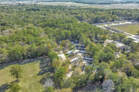 Pine Forest Mobile Home Park