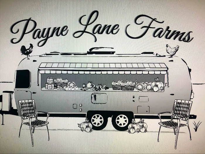 The Farm Barn by Payne Lane 4