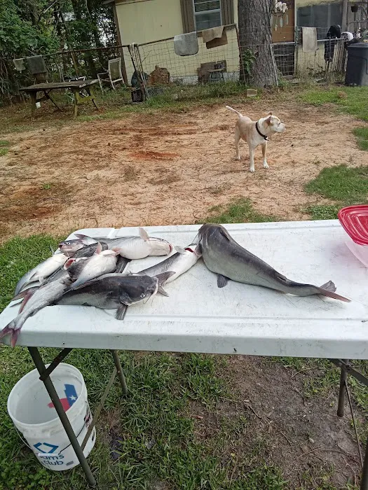 Lake Livingston Fish n Camp RV park 3