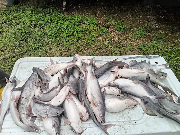 Lake Livingston Fish n Camp RV park 1
