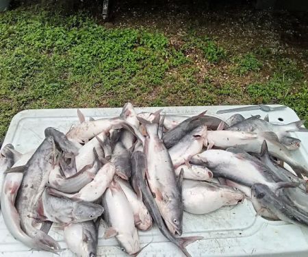 Lake Livingston Fish n Camp RV park
