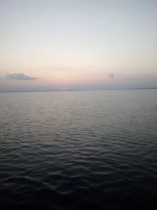 Lake Livingston Fish n Camp RV park 6