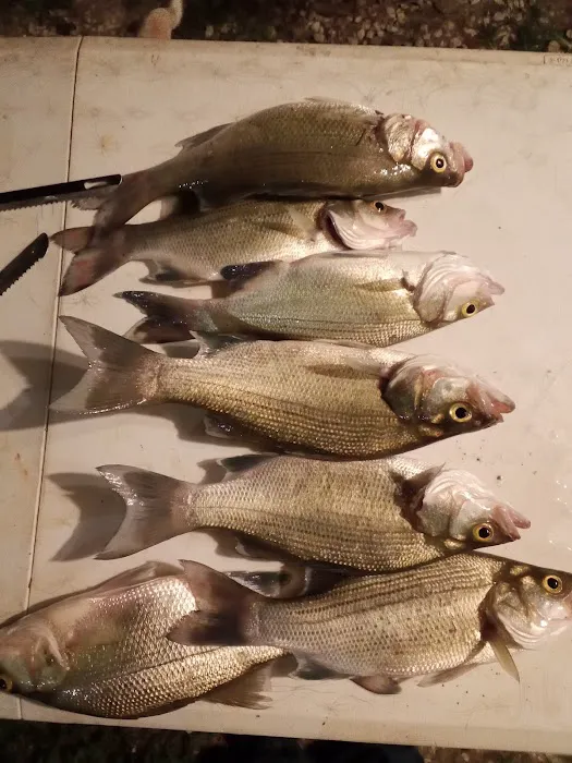 Lake Livingston Fish n Camp RV park 7