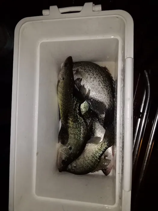 Lake Livingston Fish n Camp RV park 9