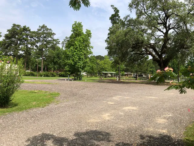 The Pines at Lake Livingston 2