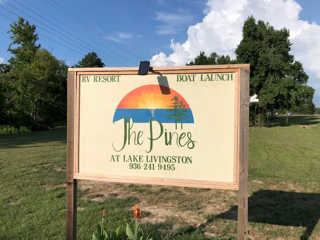 The Pines at Lake Livingston 1