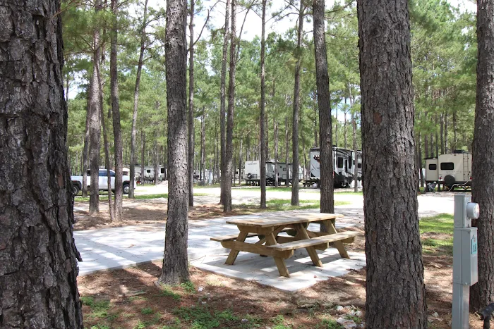 Blue Sky Lake Livingston RV Park & Cabins 4