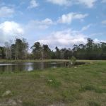 Gray's Landing RV Park, LLC