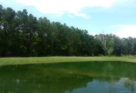 Gray's Landing RV Park, LLC 3