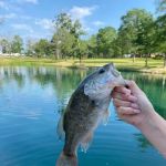 Huntsville RV Park